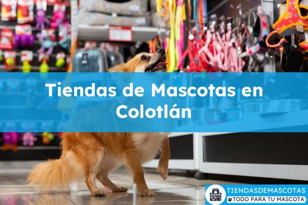 Tiendas de mascotas en Colotlán
