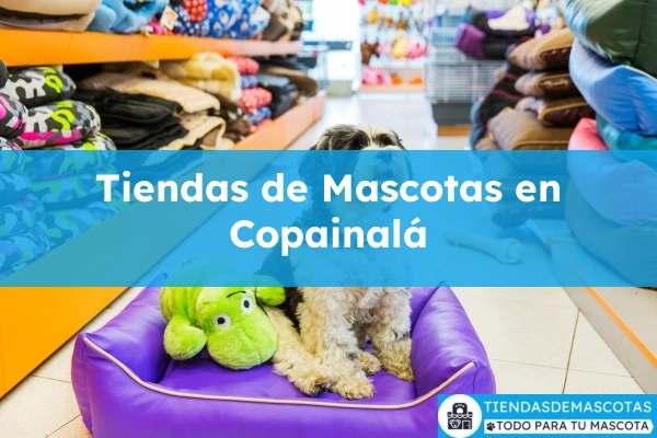 Tiendas de mascotas en Copainalá