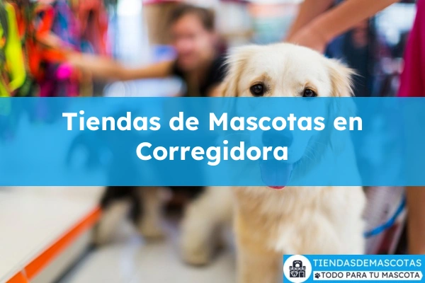 Tiendas de mascotas en Corregidora