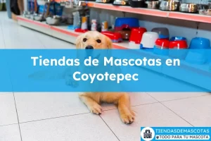Tiendas de mascotas en Coyotepec