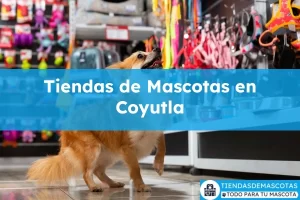 Tiendas de mascotas en Coyutla