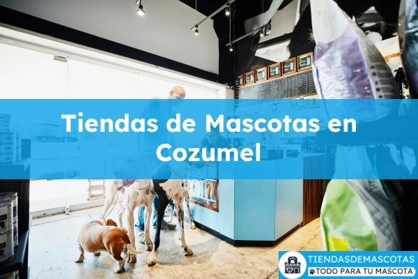 Tiendas de mascotas en Cozumel
