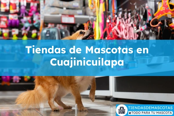 Tiendas de mascotas en Cuajinicuilapa