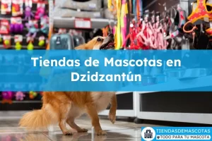 Tiendas de mascotas en Dzidzantún
