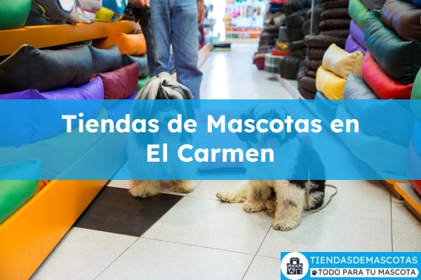 Tiendas de mascotas en El Carmen