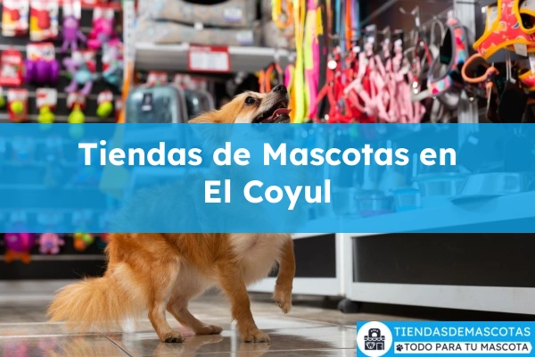 Tiendas de mascotas en El Coyul