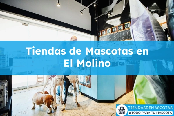 Tiendas de mascotas en El Molino
