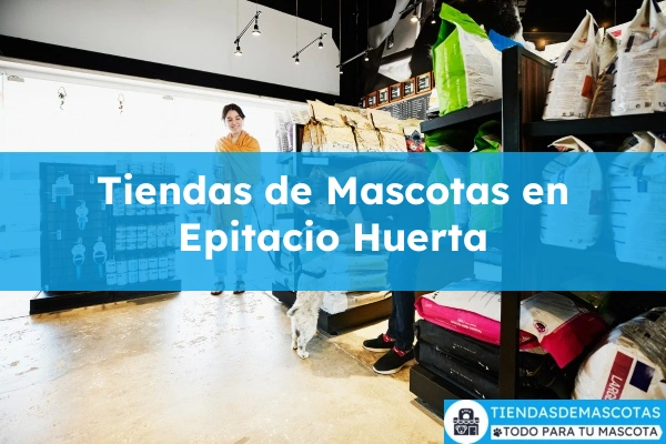 Tiendas de mascotas en Epitacio Huerta