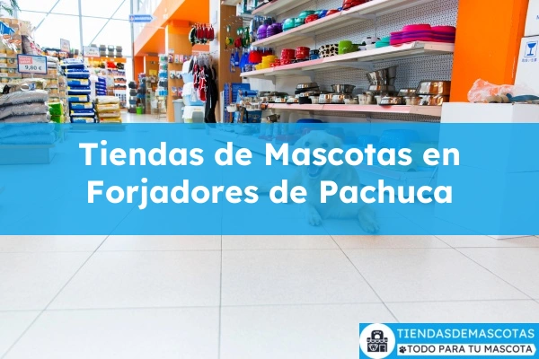 Tiendas de mascotas en Forjadores de Pachuca