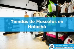 Tiendas de mascotas en Halachó
