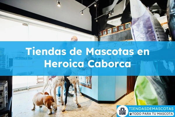 Tiendas de mascotas en Heroica Caborca
