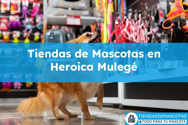 Tiendas de mascotas en Heroica Mulegé