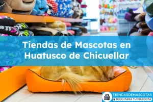 Tiendas de mascotas en Huatusco de Chicuellar