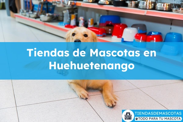 Tiendas de mascotas en Huehuetenango