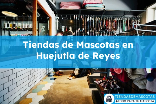 Tiendas de mascotas en Huejutla de Reyes