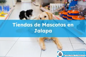 Tiendas de mascotas en Jalapa