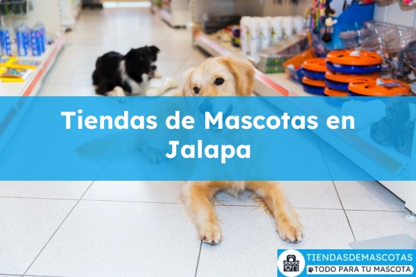 Tiendas de mascotas en Jalapa