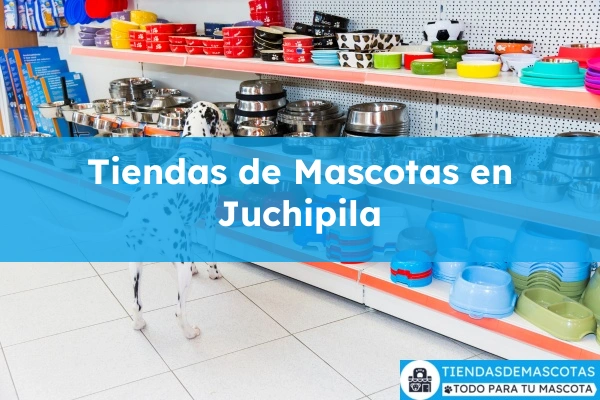 Tiendas de mascotas en Juchipila