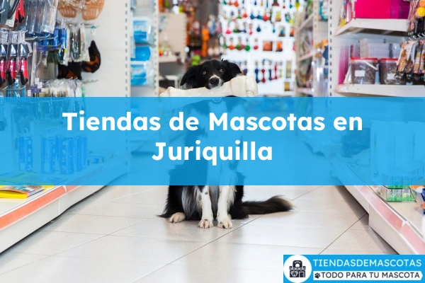 Tiendas de mascotas en Juriquilla