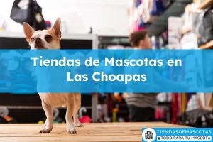 Tiendas de mascotas en Las Choapas