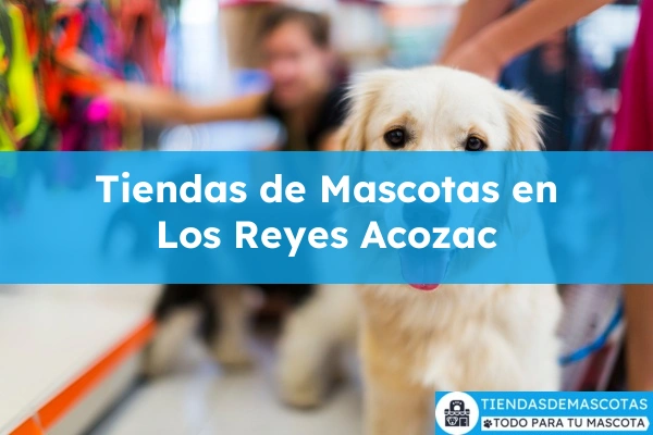 Tiendas de mascotas en Los Reyes Acozac