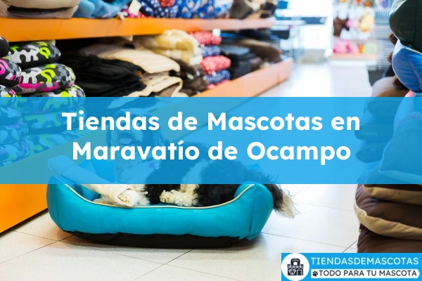 Tiendas de mascotas en Maravatío de Ocampo
