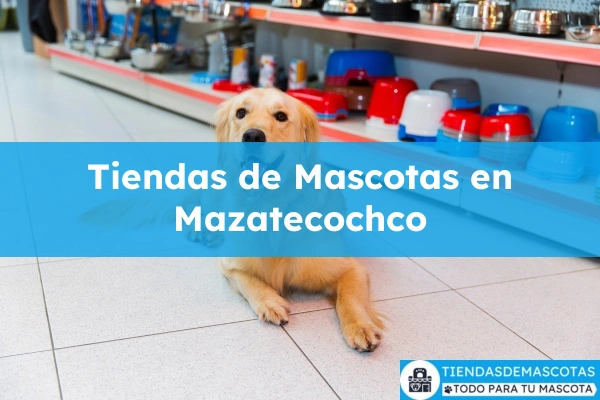 Tiendas de mascotas en Mazatecochco