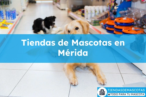 Tiendas de mascotas en Mérida