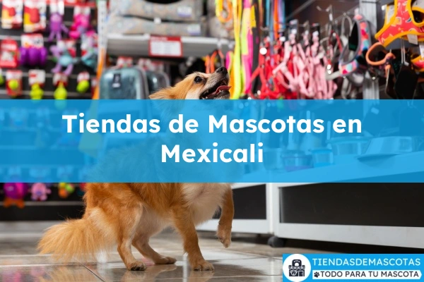 Tiendas de mascotas en Mexicali