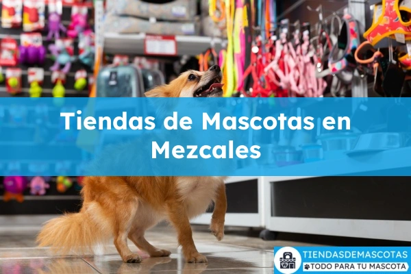 Tiendas de mascotas en Mezcales