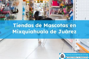 Tiendas de mascotas en Mixquiahuala