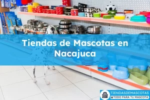 Tiendas de mascotas en Nacajuca