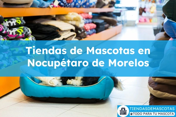 Tiendas de mascotas en Nocupétaro de Morelos
