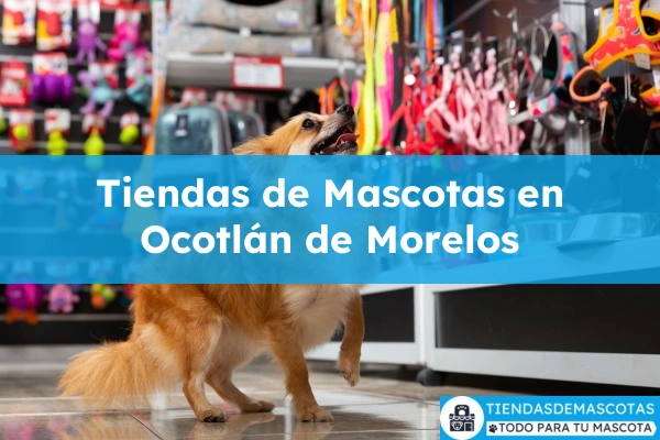 Tiendas de mascotas en Ocotlán de Morelos