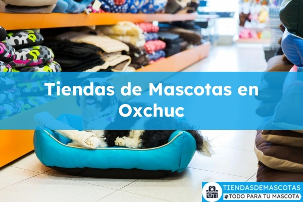 Tiendas de mascotas en Oxchuc