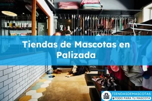Tiendas de mascotas en Palizada