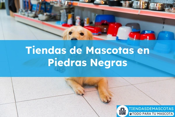 Tiendas de mascotas en Piedras Negras