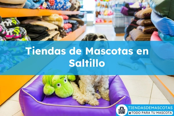 Tiendas de mascotas en Saltillo