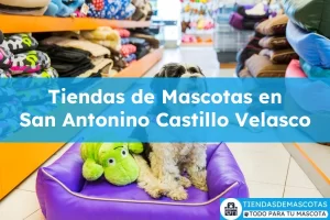 Tiendas de mascotas en San Antonino Castillo Velasco