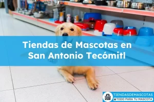 Tiendas de mascotas en San Antonio Tecómitl