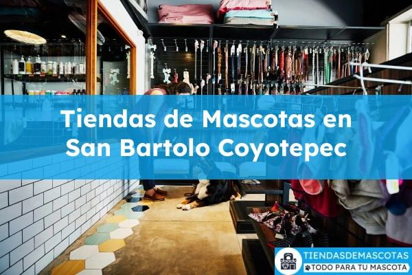 Tiendas de mascotas en San Bartolo Coyotepec