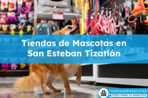 Tiendas de mascotas en San Esteban Tizatlán