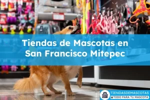 Tiendas de mascotas en San Francisco Mitepec