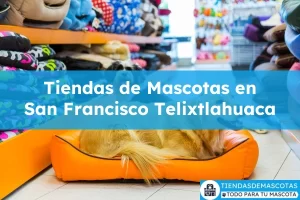 Tiendas de mascotas en San Francisco Telixtlahuaca
