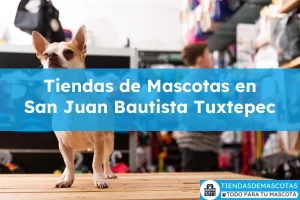 Tiendas de mascotas en San Juan Bautista Tuxtepec