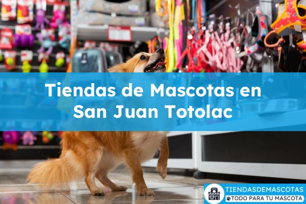 Tiendas de mascotas en San Juan Totolac