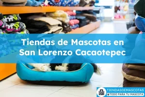 Tiendas de mascotas en San Lorenzo Cacaotepec