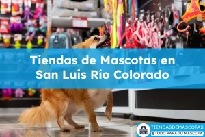 Tiendas de mascotas en San Luis Río Colorado