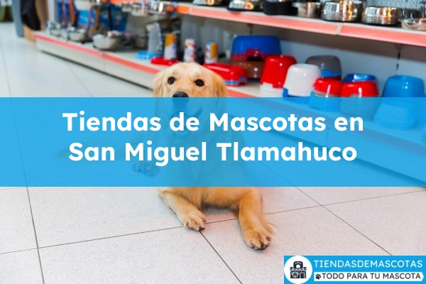 Tiendas de mascotas en San Miguel Tlamahuco