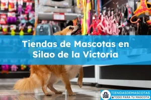Tiendas de mascotas en Silao de la Victoria